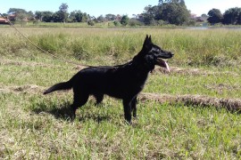 Euvira_A_27062017