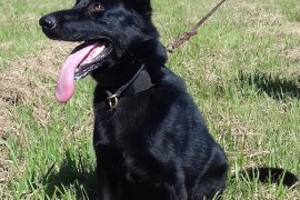 Euvira_G_27062017