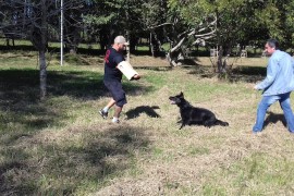 Euvira_O_27062017