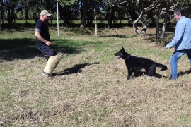 Euvira_T_27062017