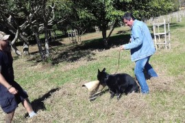 Euvira_Z7_27062017