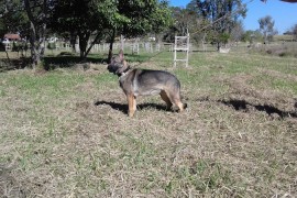 Guta_A_27062017